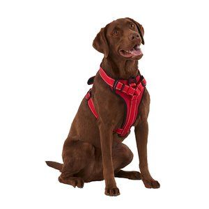 KONG Ultra Durable Neoprene Padded Dog Harness - Red & Black